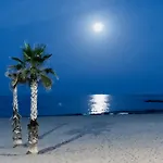 El Castillo De Bonalba *